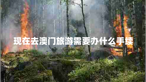 現在去澳門(mén)旅游需要辦什么手續