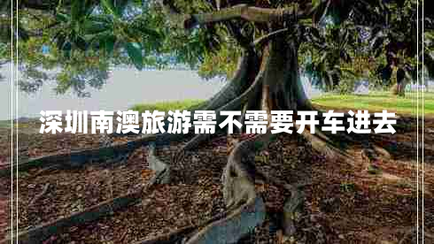 深圳南澳旅游需不需要開(kāi)車(chē)進(jìn)去