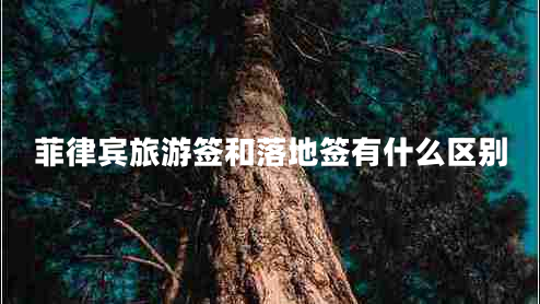 菲律賓旅游簽和落地簽有什么區別