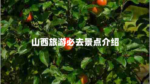 山西旅游必去景點(diǎn)介紹