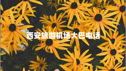 西安旅游機場(chǎng)大巴電話(huà)