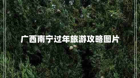 廣西南寧過(guò)年旅游攻略圖片