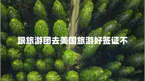 跟旅游團去美國旅游好簽證不 跟旅游團去美國旅游好簽證不