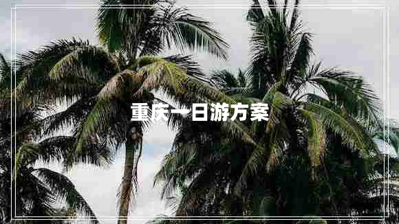 重慶一日游方案