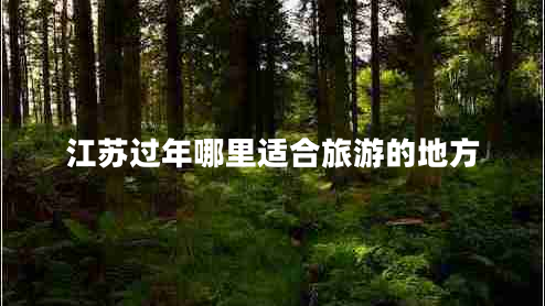 江蘇過(guò)年哪里適合旅游的地方