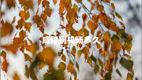 咸陽(yáng)到機場(chǎng)多久