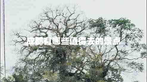 成都有哪些值得去的景點(diǎn)