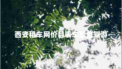 西安租車(chē)網(wǎng)價(jià)目表車(chē)型自駕游