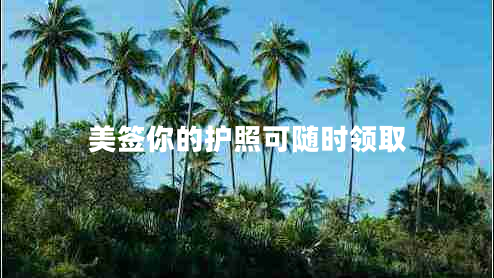 美簽你的護照可隨時(shí)領(lǐng)取 美簽你的護照可隨時(shí)領(lǐng)取