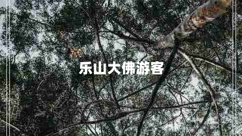 樂(lè )山大佛游客