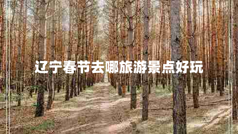 遼寧春節去哪旅游景點(diǎn)好玩