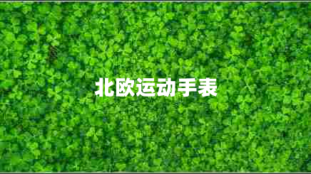 北歐運動(dòng)手表