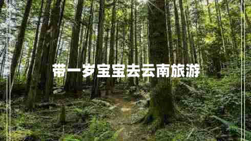 帶一歲寶寶去云南旅游