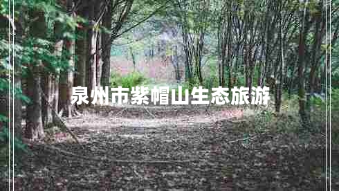 泉州市紫帽山生態(tài)旅游