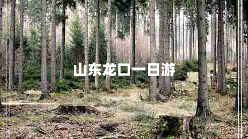 山東龍口一日游