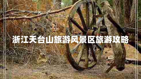 浙江天臺山旅游風(fēng)景區旅游攻略