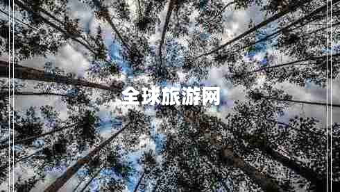 全球旅游網(wǎng)