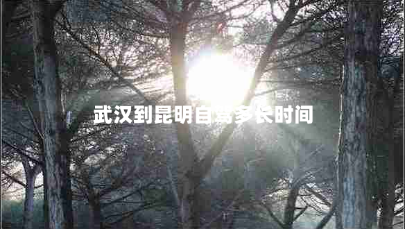 武漢到昆明自駕多長(cháng)時(shí)間