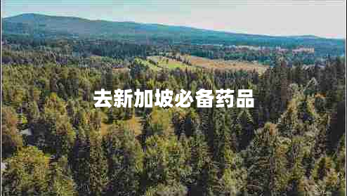 去新加坡必備藥品