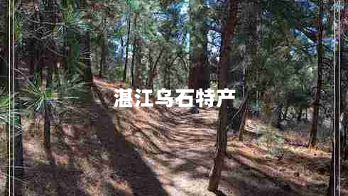 湛江烏石特產(chǎn)