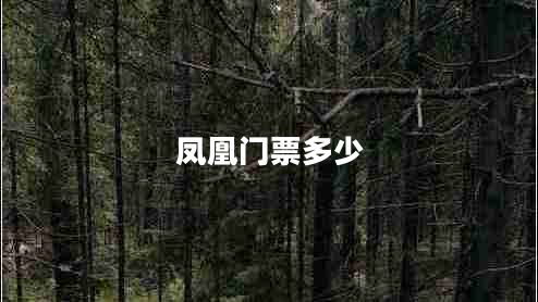 鳳凰門(mén)票多少