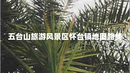 五臺山旅游風(fēng)景區懷臺鎮地圖路線(xiàn)