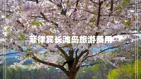 菲律賓長(cháng)灘島旅游費用 菲律賓長(cháng)灘島旅游費用