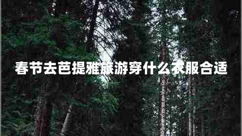 春節去芭提雅旅游穿什么衣服合適