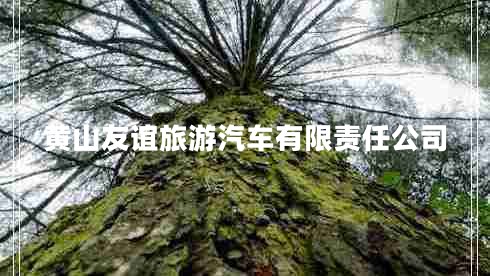 黃山友誼旅游汽車(chē)有限責任公司