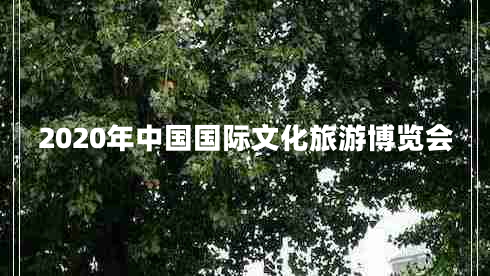2020年中國國際文化旅游博覽會(huì ) 2020年中國國際文化旅游博覽會(huì )
