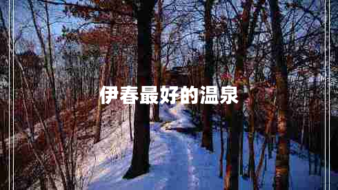 伊春最好的溫泉