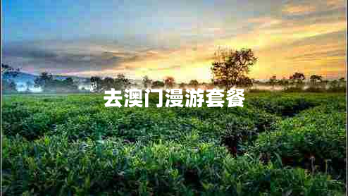 去澳門(mén)漫游套餐 去澳門(mén)漫游套餐