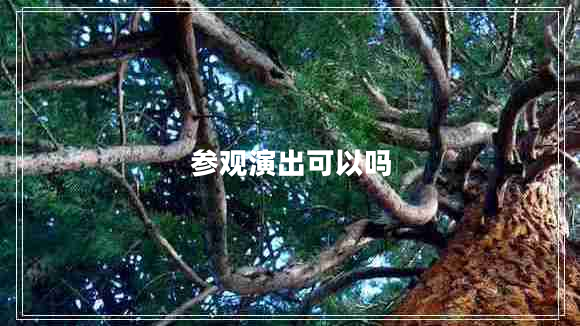 參觀(guān)演出可以嗎