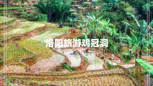 洛陽(yáng)旅游雞冠洞