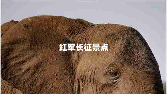 紅軍長(cháng)征景點(diǎn)