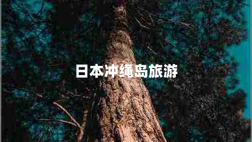 日本沖繩島旅游