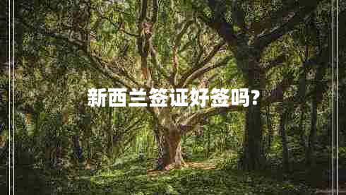 新西蘭簽證好簽嗎? 新西蘭簽證好簽嗎?