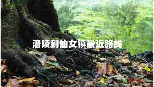 涪陵到仙女鎮最近路線(xiàn)