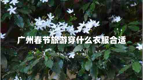 廣州春節旅游穿什么衣服合適