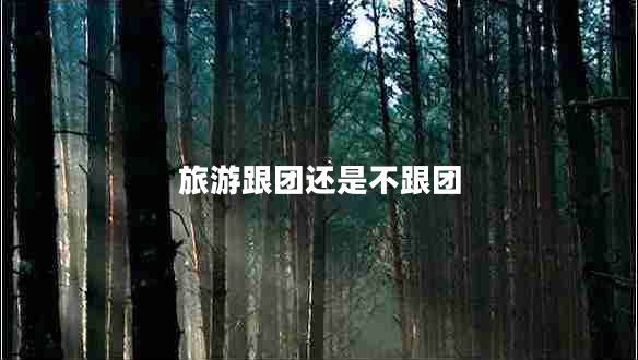 旅游跟團還是不跟團