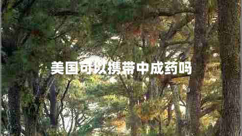 美國可以攜帶中成藥嗎