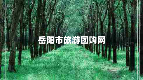 岳陽(yáng)市旅游團購網(wǎng)