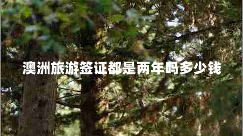 澳洲旅游簽證都是兩年嗎多少錢(qián)