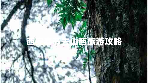 西安春節去山西旅游攻略 西安春節去山西旅游攻略