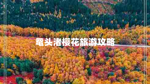 黿頭渚櫻花旅游攻略