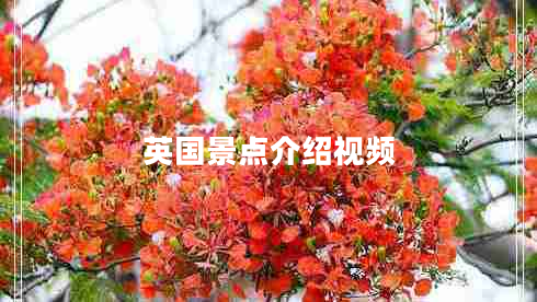 英國景點(diǎn)介紹視頻 英國景點(diǎn)介紹視頻