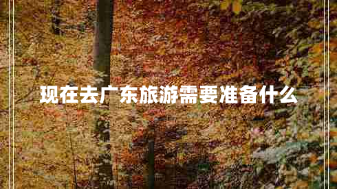 現在去廣東旅游需要準備什么