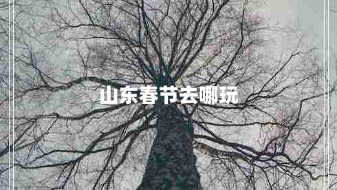 山東春節去哪玩