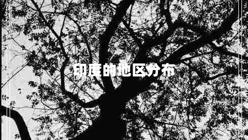 印度的地區分布