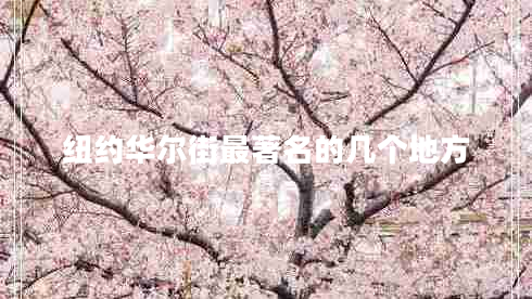 紐約華爾街最著(zhù)名的幾個(gè)地方 紐約華爾街最著(zhù)名的幾個(gè)地方